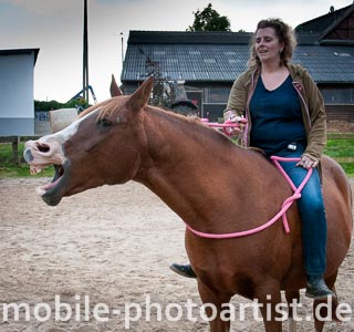 Spassbild mit Pferd